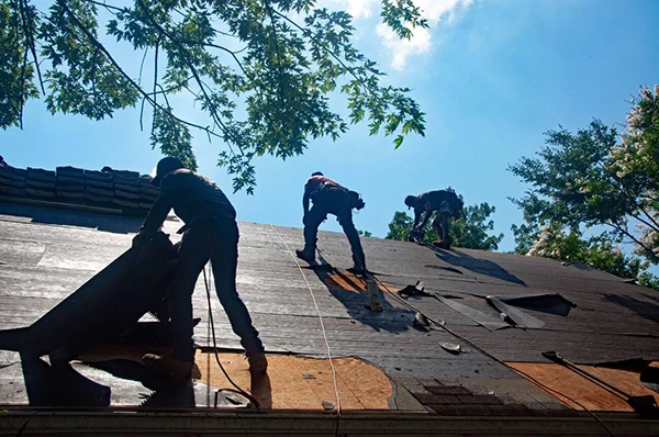 Eco-Friendly Options for Your Roof Installation